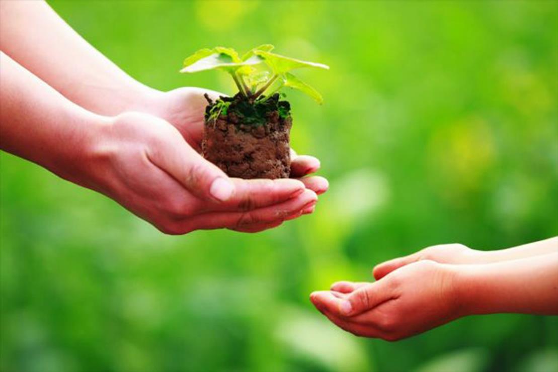 song thien lanh_nhan qua.jpg